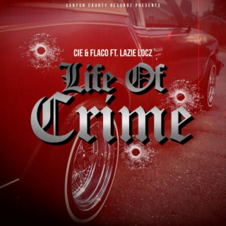 Life Of Crime