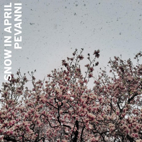 snow in april | Boomplay Music