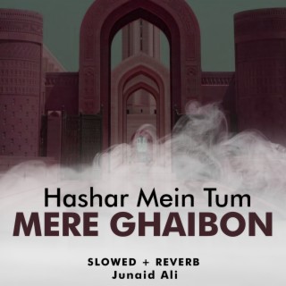 Hashar Mein Tum Mere Ghaibon Lofi