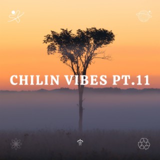 Chilin Vibes pt.11