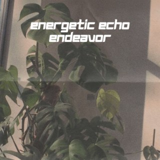 Energetic Echo Endeavor