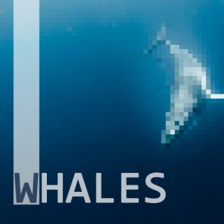 Whales