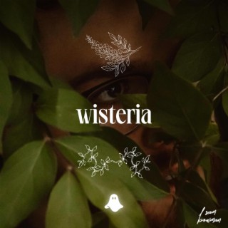 wisteria lyrics | Boomplay Music