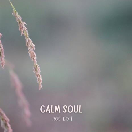 Calm Soul | Boomplay Music