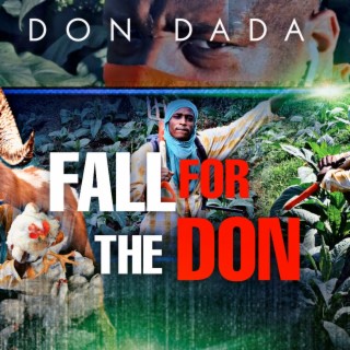 Fall for the Don