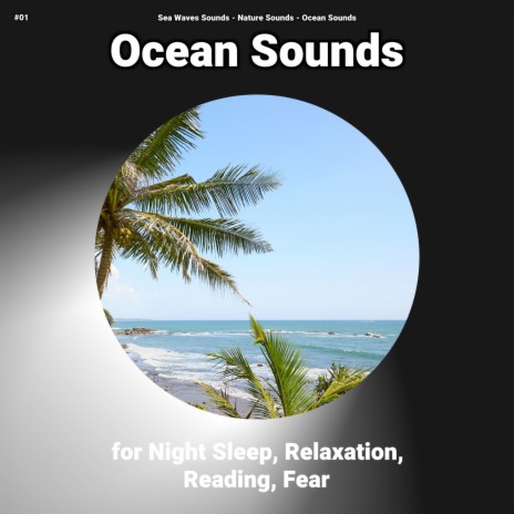 Ocean Sounds ft. Ocean Sounds & Nature Sounds