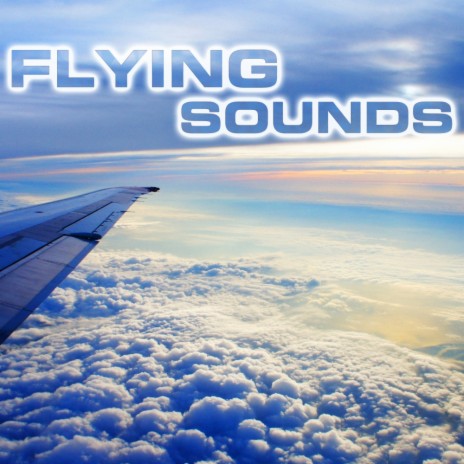Flying Ambience Sounds ft. NatGeo Soundscapes, NatGeo White Noise & Feat. NatGeo Nature Sounds | Boomplay Music