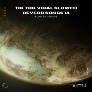 Tik Tok Viral Slowed Reverb Songs 14