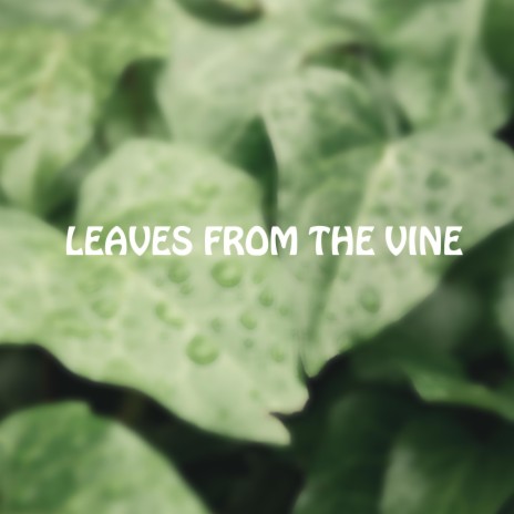 leaves from the vine | Boomplay Music