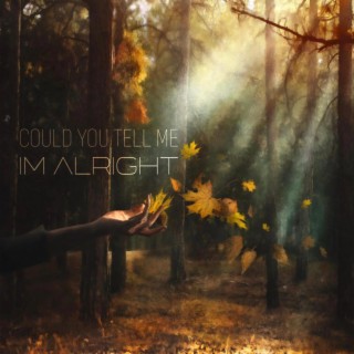 Could You Tell Me I'm Alright lyrics | Boomplay Music