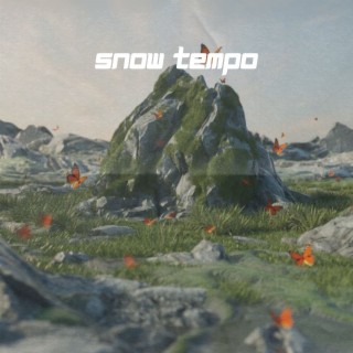 Snow Tempo