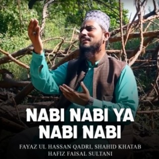 Fayaz Ul Hassan Qadri