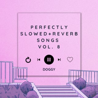 Perfectly Slowed+Reverb Songs Vol. 8