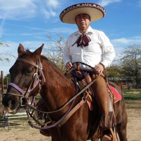 AMIGOS DE ACABALLO DE SAN TAN VALLEY AZ | Boomplay Music