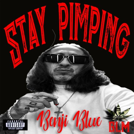 Stay Pimping