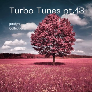 Turbo Tunes pt.13
