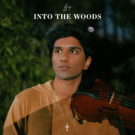 Into the Woods | Boomplay Music