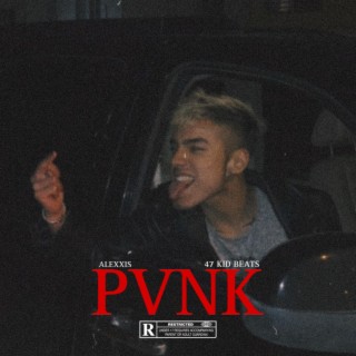 PVNK