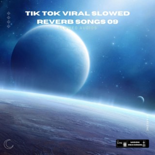 Tik Tok Viral Slowed Reverb Songs 09