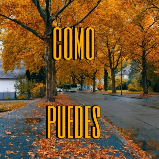 Como puedes