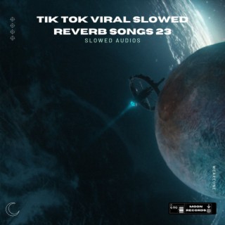 Tik Tok Viral Slowed Reverb Songs 23