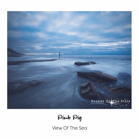 View Of The Sea (Intro Mix) | Boomplay Music