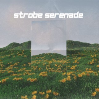 Strobe Serenade