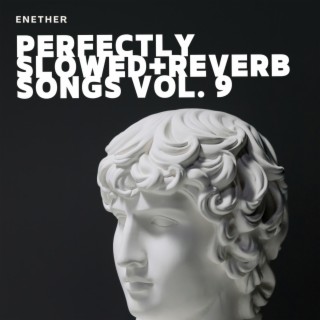 Perfectly Slowed+Reverb Songs Vol. 9