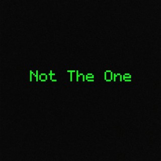 Not The One ft. $toneface Doomalay lyrics | Boomplay Music