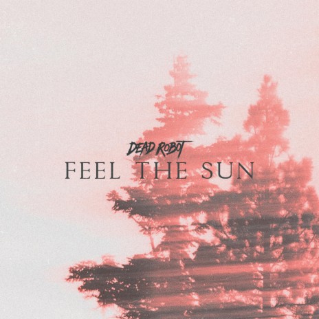 Feel The Sun