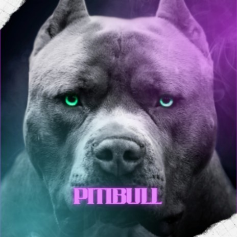 Pitbull | Boomplay Music