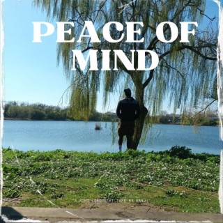 PEACE OF MIND (BEAT TAPE)