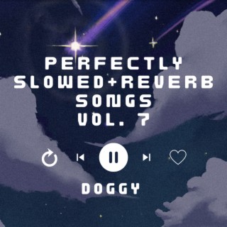 Perfectly Slowed+Reverb Songs Vol. 7