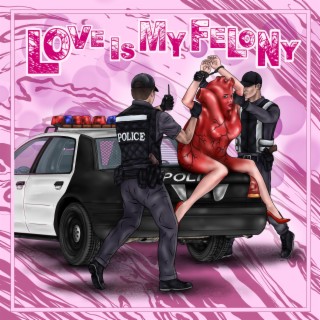 Love is My Felony lyrics | Boomplay Music