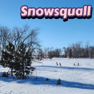 Snowsquall