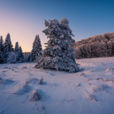 Frozen Winter (Original Motion Picture Soundtrack)