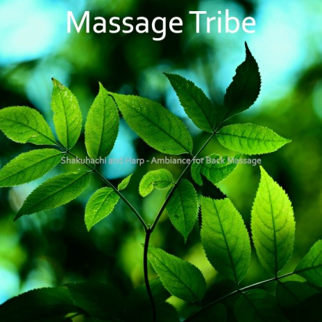 Mysterious Shakuhachi and Harps - Vibe for Back Massage