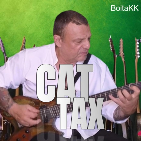 Cat Tax | Boomplay Music