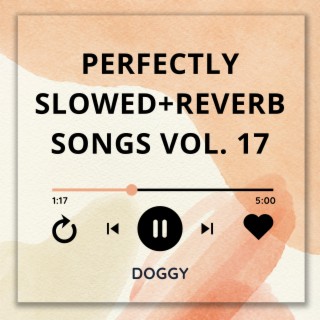 Perfectly Slowed+Reverb Songs Vol. 17