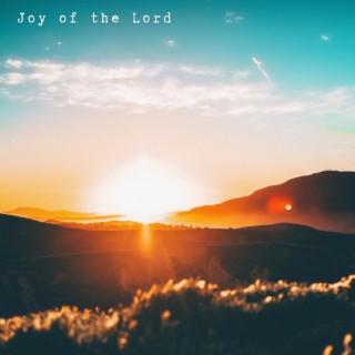Joy of the Lord lyrics | Boomplay Music