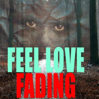 Feel Love Fading