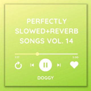 Perfectly Slowed+Reverb Songs Vol. 14