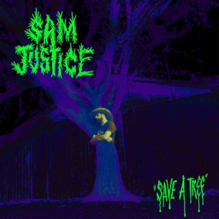 Sam Justice