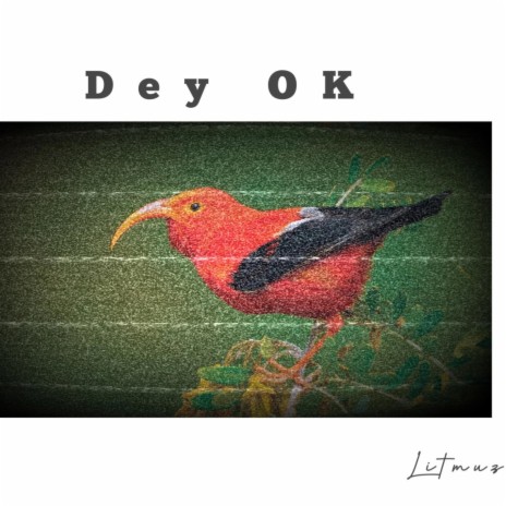 Dey Okay ft. Azure_beats | Boomplay Music