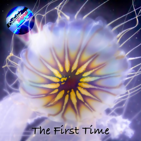 The First Time | Boomplay Music