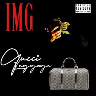 Gucci Luggage