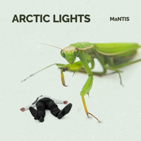 MaNTIS | Boomplay Music