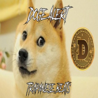 Doge Alert (Dogemix)