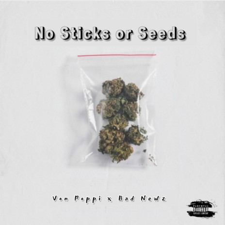 No Sticks or Seeds ft. Bad Newz