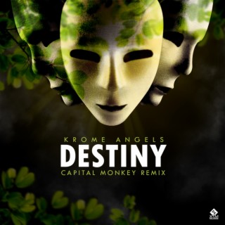 Destiny (Capital Monkey Remix)